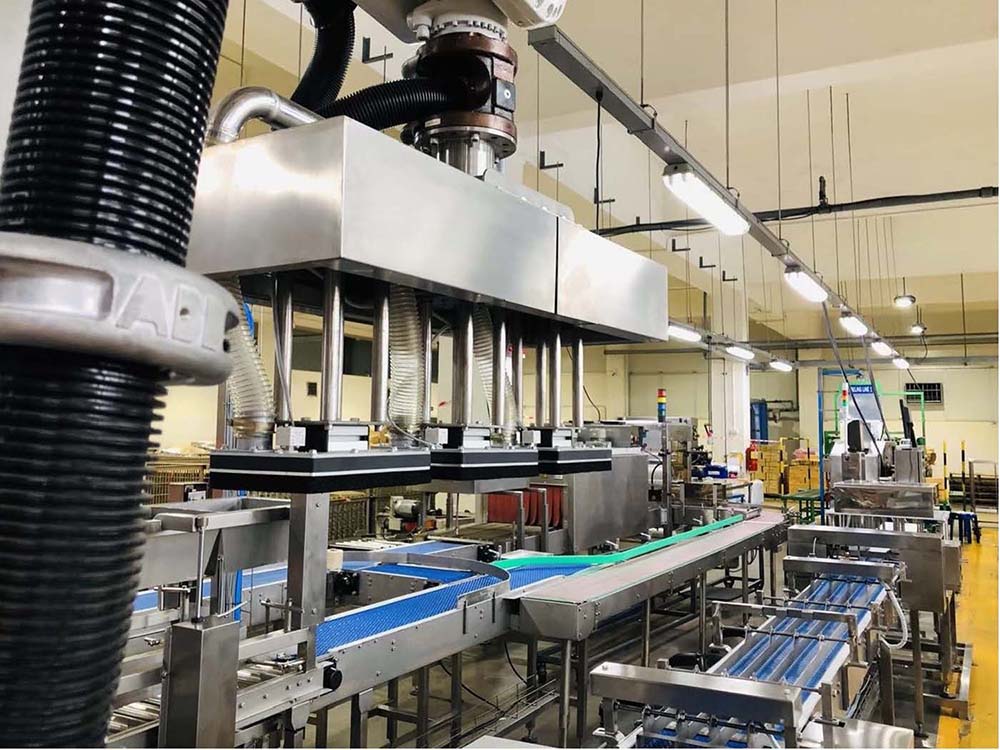 5 - https://thanyaphat.com | บริษัท ทีพีเอ็ม จำกัด 5 - https://thanyaphat.com | บริษัท ทีพีเอ็ม จำกัด