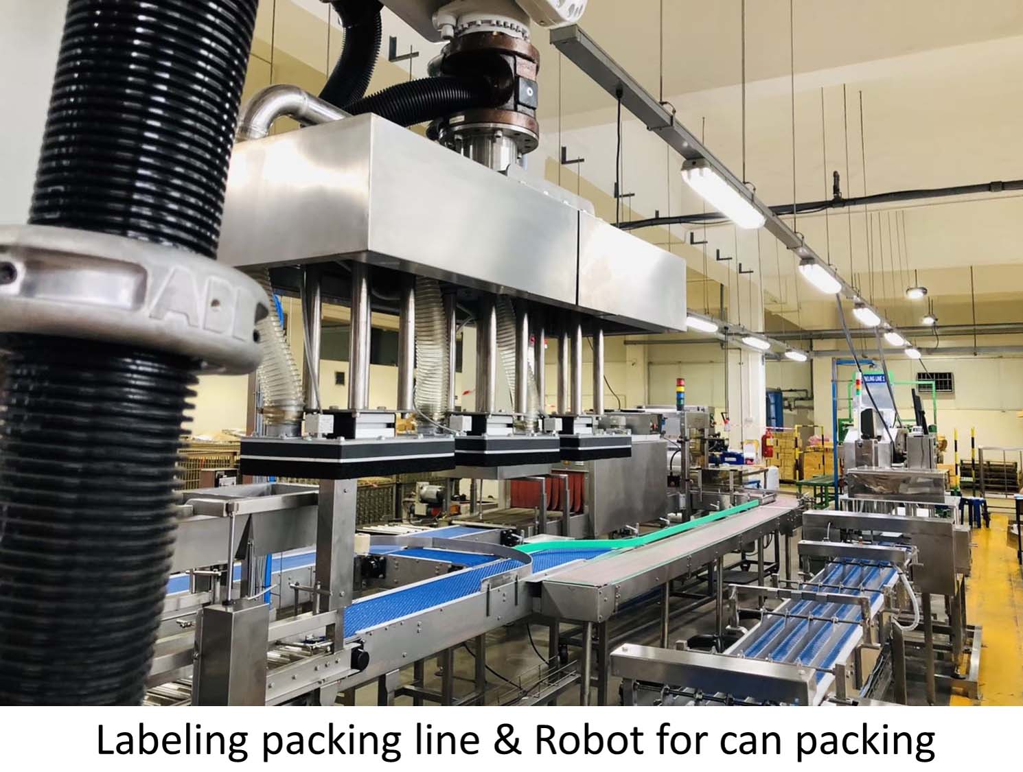 7 - https://thanyaphat.com | บริษัท ทีพีเอ็ม จำกัด 7 - https://thanyaphat.com | บริษัท ทีพีเอ็ม จำกัด